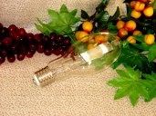 METAL HALIDE METAL HALIDE